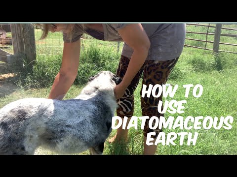 How to Use Diatomaceous Earth for Pest Control