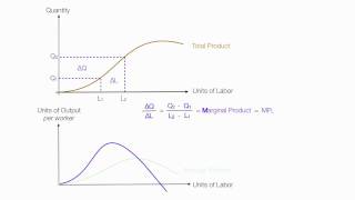 Introduction to Production Introduction (Average Product, Marginal Product, Total Product)