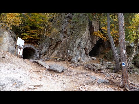 Mofeta GROTA SULFUROASĂ de pe Muntele Puturosu (Balvanyos, Județul Covasna, Transilvania)