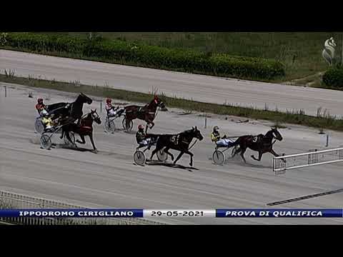 Aversa trotto 29 Maggio 2021 - Prova di qualifica