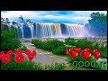 Good Morning Video Albums Song Whatsup Stetus
