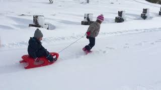 Les S-CAR-GO font du ski