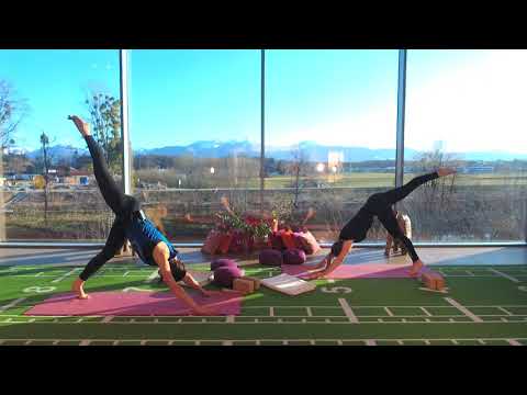 YIN & YANG YOGA mit Sophia & Monika - ONLINE KURSE - ONLINE FITNESS