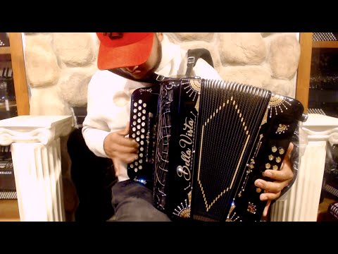 BELLAEGBKGD - Black Gold Bella Vista Diatonic Button Accordion Two Tone MM EAD / GCF $4999