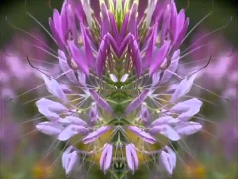 Hagen von Bergen " SCHLURI"