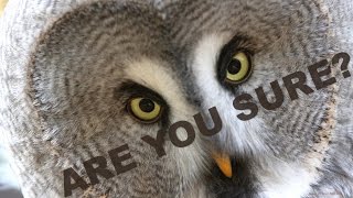 Be Sure - HOPE Community Church