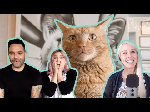 What It's Really Like Running a Cat Rescue