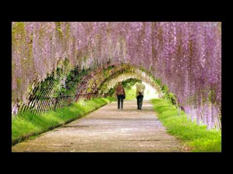 Prevod Abrahama (Ester Hicks) - Motivacija za dobro jutro