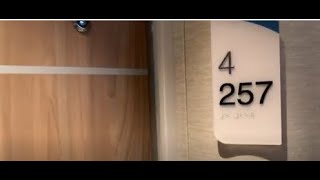 Carnival Jubilee Ocean View Cabin 4257