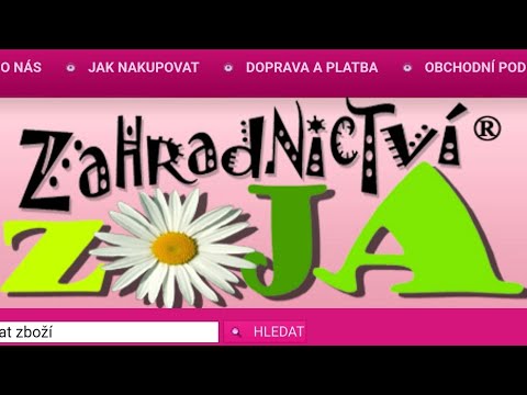 Nákup Zoja - borůvky, maliny, muchovník