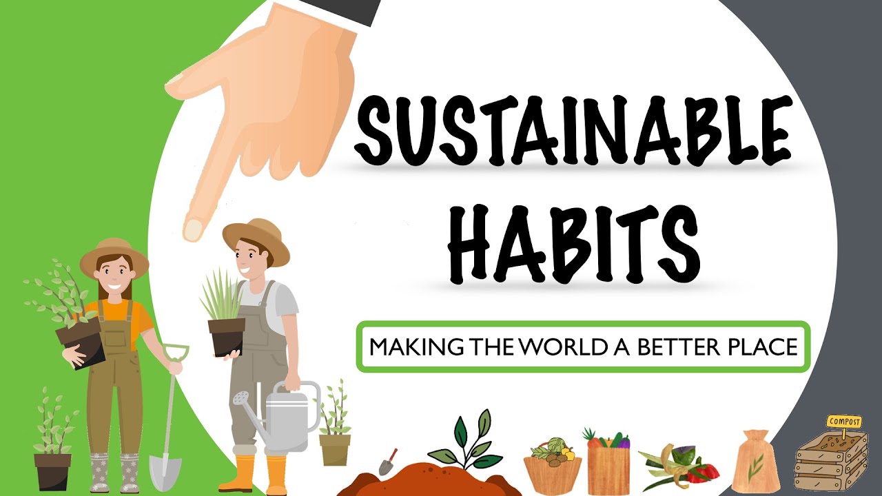Sustainable Advise | 15 Habits That Commerce Your Lifestyles in 2024!🌍♻️ 