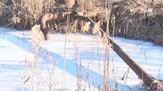Общественная палата Воскресенского района продолжает вести мониторинг экологической ситуации
