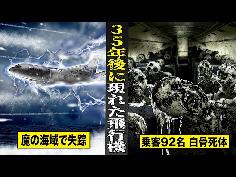 記録: 10 か月にわたる無着陸飛行