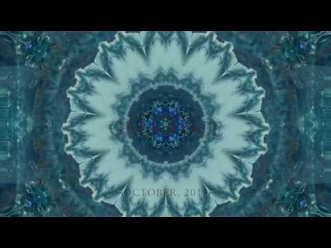 The monthly portal tree - The giving ancient forest (October 31) 432 Hz