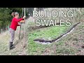 Ensuring water for my New Olive Tree Grove | Swales on Contour | Permaculture Farm