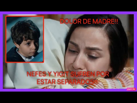 MAR NEGRO (FUGITIVA) - CAPITULO 41 (19/5/2022) PERU