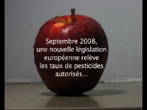 ODE A LA JOIE, MANGEONS DES POMMES ?