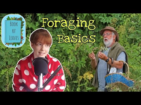 #38 The Basics to start Foraging - Dermot Hughes, Forage Ireland