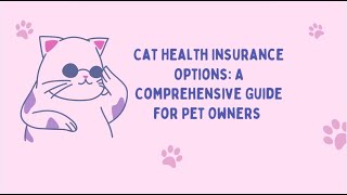 Cat Health Insurance Options: A Comprehensive Guide for Pet Owners