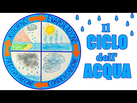 💧🔁 IL CICLO DELL'ACQUA - 🎯 Schema circolare interattivo (Lezione di Scienze per la Scuola Primaria)