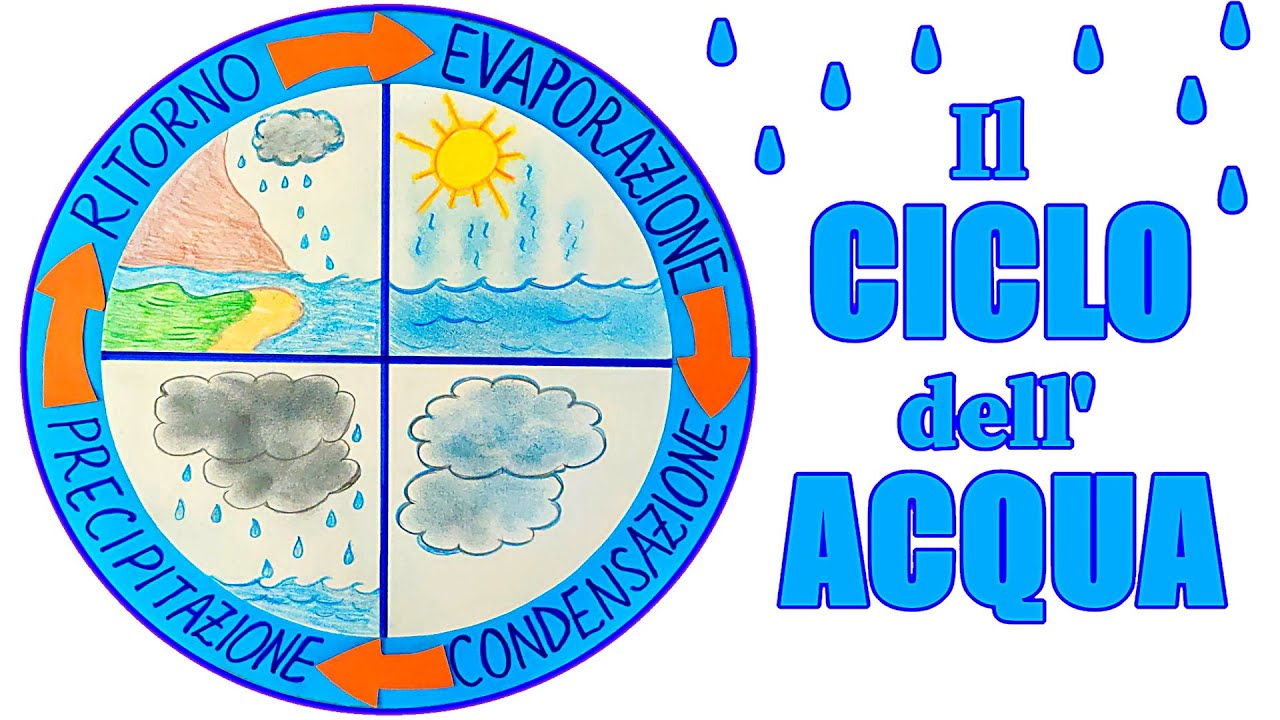 ???? IL CICLO DELL'ACQUA - ?? Schema circolare interattivo (Lezione di Scienze per la Scuola Primaria)