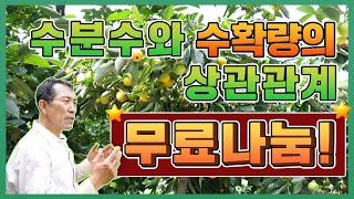 [구독자이벤트]수분수와 수확량의 상관관계 !!