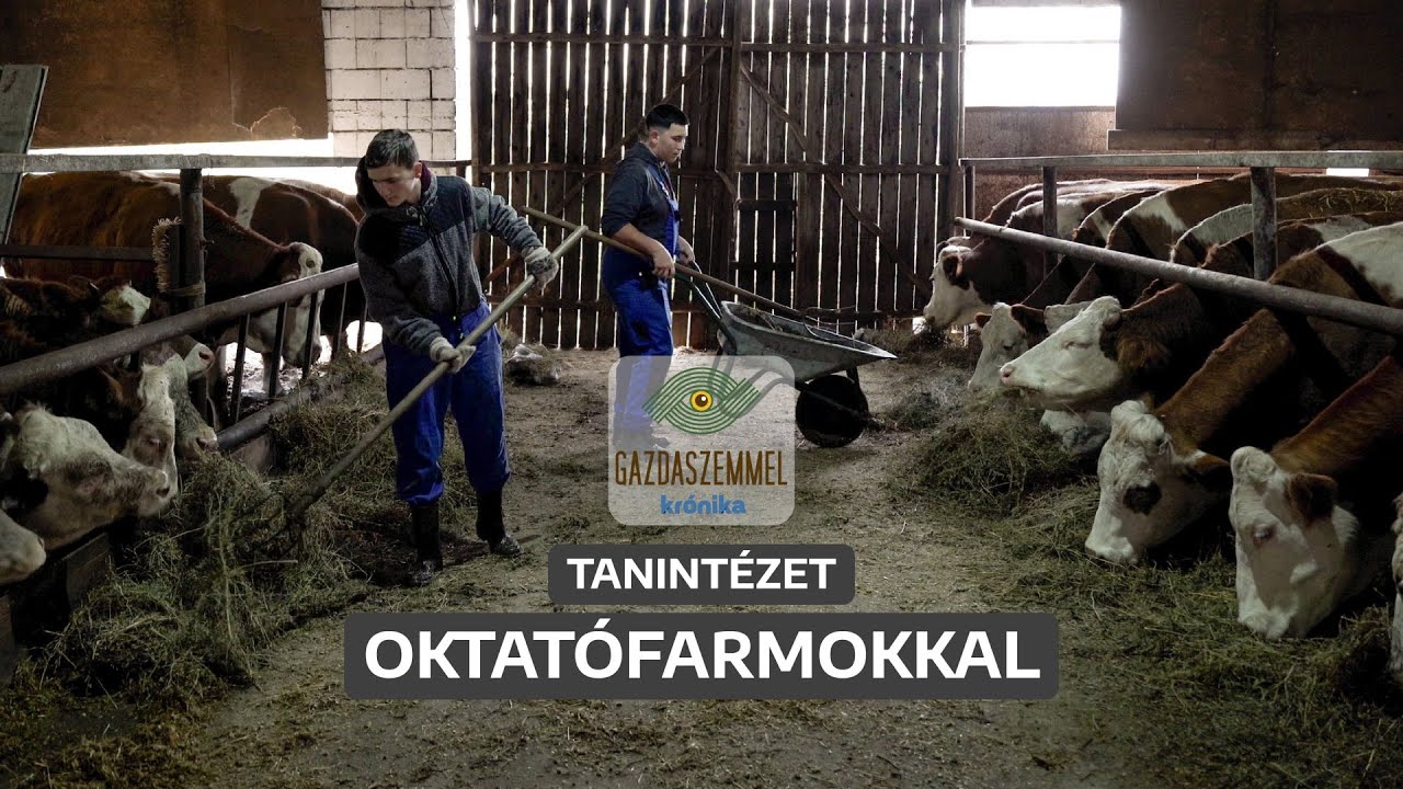 Így született újjá a magyar mezőgazdasági szakoktatás | Gazdaszemmel