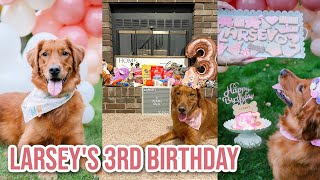 My Golden Retrievers 3rd Birthday Shopping Spree | Larsey's 3rd Birthday Special