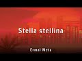 Ermal Meta - Stella stellina (Lyrics)