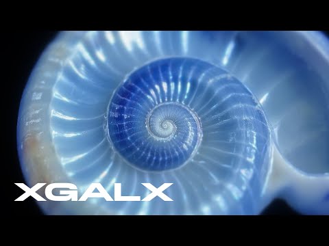 XG - HYPNOTIZE (Visual Teaser Compilation)