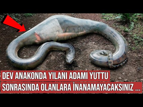 , title : 'Anakonda Yılanı Adamı Yuttu, Sonrasında Olanlar İnanılmazdı'