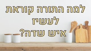מה הכוונה בכינוי איש שדה? ואיך זה קשור לאפיית חלות?