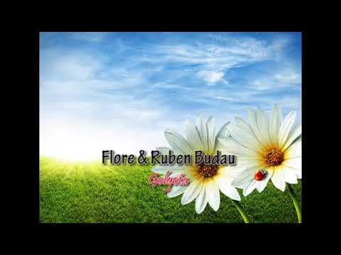 Golgota - Fratii Budau vol 4