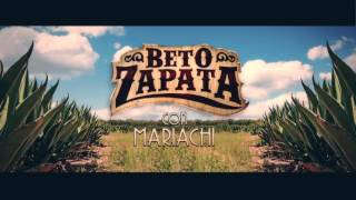 Beto Zapata - Me caíste del cielo (Video Lyric)