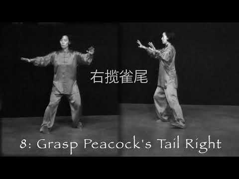 Yang Style Taichi 24 Forms for Beginners by Master Yijiao Hong