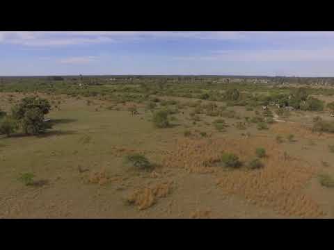 Venta de 25 Has. en Mercedes - Corrientes