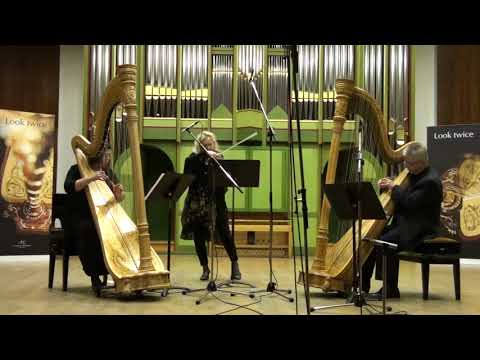 Astor Piazzolla - Libertango for violin and two harps