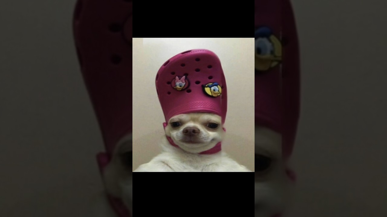 Try Not to change your Wallpaper Challenge