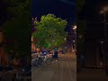 Roke Na Ruke Naina Slowed Reverb Status Lofi Aesthetic Arijitsingh Shorts Viral