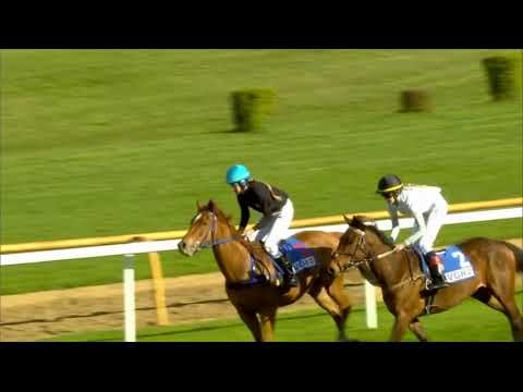 Hannover 17 4 2017     G Ponyrennen