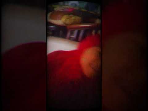 Review SM Lawan Virus dengan Madu #Literacy #sditdaarulfikri