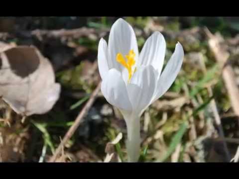 Kwatery Zakopane, pokoje gościnne benita, tanie noclegi Zakopane, ul.Droga do Olczy 20 A