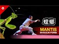 Shaolin MANTIS FIST Form by WARRIOR Monk | BEST KUNG FU