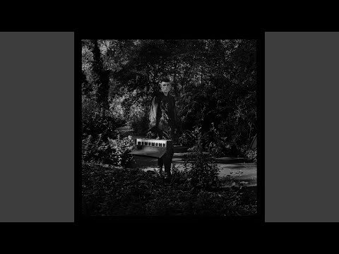 Video thumbnail for The Night Safari