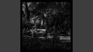 Musik-Video-Miniaturansicht zu The Night Safari Songtext von Patrick Wolf