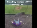 Weeeeeeeeeee