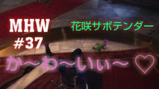 #37【MHW】【モンスターハンターワールド】花咲きサボテンダー捕獲～極ベヒーモス