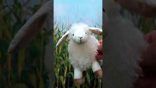 Old MacDonald Sheep | Blippi📖 Moonbug Kids Learning Corner
