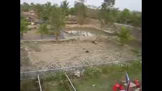 preview picture of video 'From the roof top of a guest house at Pakhirala in the Sundarbans'