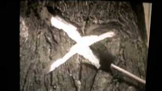 How To Survive Being Hit By Lightning - Carla Bozulich